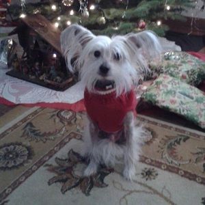 Meet your Posher, Denise